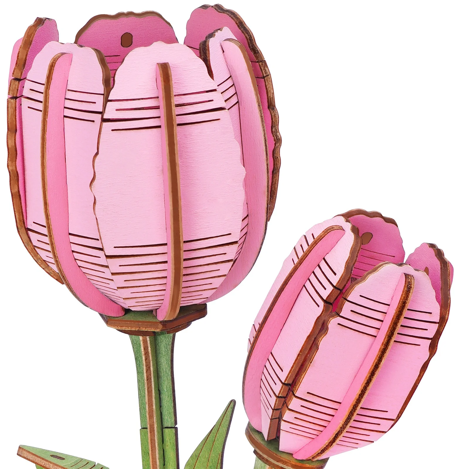 Vorschaubild 4